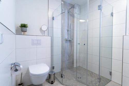 Superior Apartment with Sauna image 10