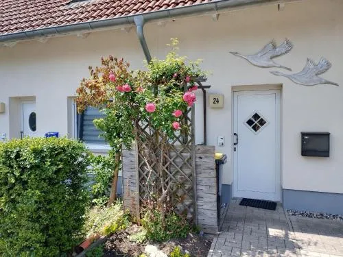 Zur Wellenwiese 24 in Zingst, Deutschland