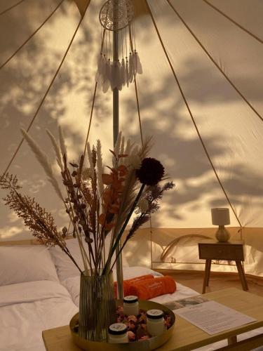 Jaskółkowo Glamping