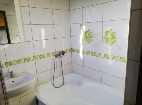 Apollo Green 1 cameră (Apollo Green 1 camera) in 特尔古穆列什