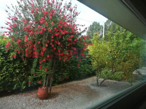 Single House, Vila Real (zdjęcie 6)
