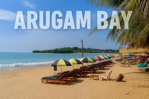 Beach, The White Pillow Hotel Arugam Bay in Arugam Bay