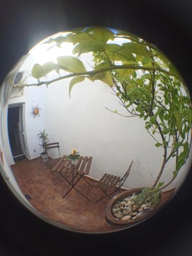 Casa El Patio en Ronda, Ronda (foto 3)