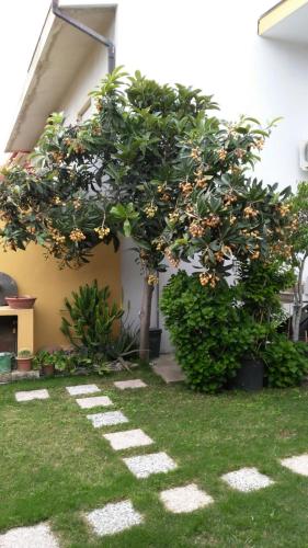 Apartment Rose e Fiori Sardegna photo 3