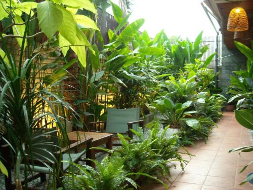Tropical Home Villa, Hoi An (photo 8)
