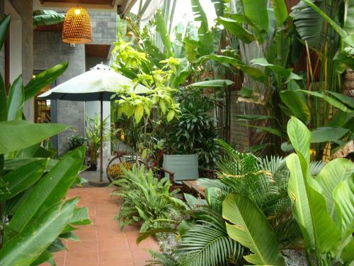 Tropical Home Villa, Hoi An (photo 7)