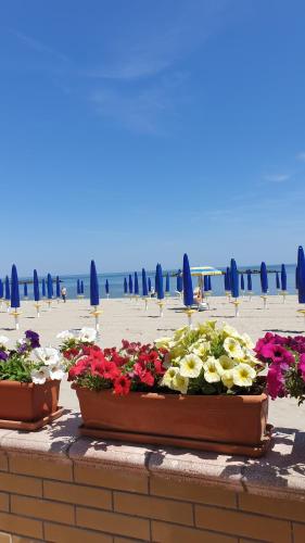 Appartamento ELDORADO in Lido di Pomposa