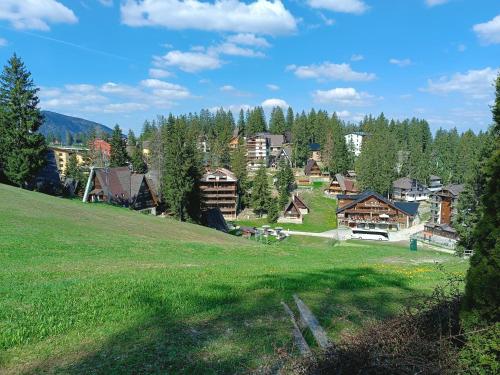 Vlasic Relax in 希沙瓦