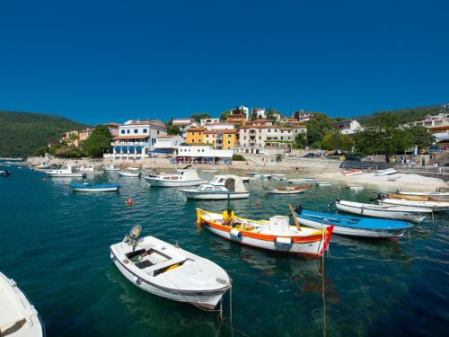 Hotel Mimosa - Maslinica Hotels & Resorts - image 12
