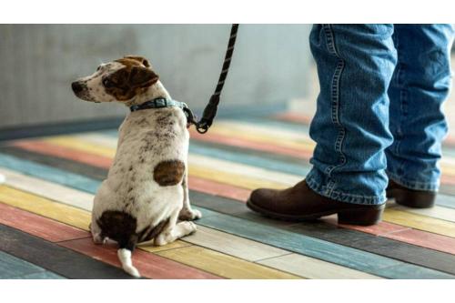 Motel 6-Janesville WI - image 29