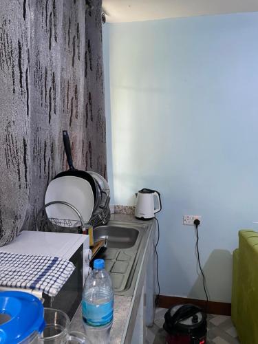 MSF BACHELOR PAd - image 4