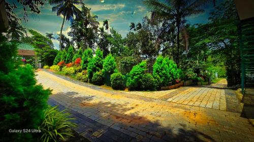 Green Aura By BOB in Muthanga