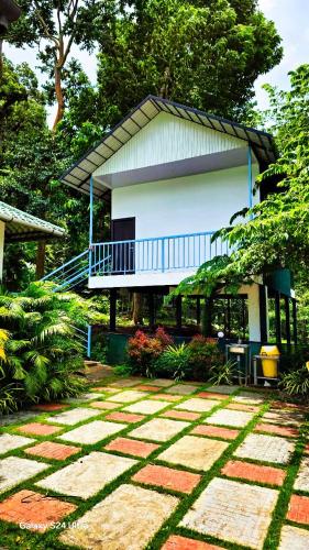 Green Aura By BOB in Muthanga