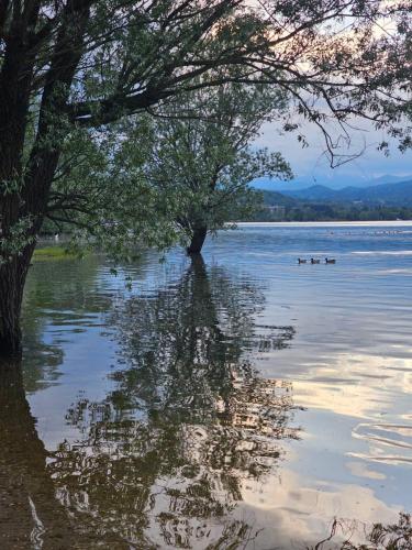 Nearby attraction, Il Drago Del Lago - Holiday Home in Madonna Del Sasso