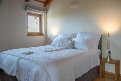 Suites DANICA - image 4