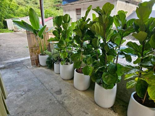 Backyard, Yuanshan (photo 4)