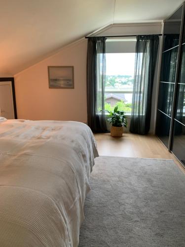 Arendalsuka - stort hus 15 min gangavstand til ferga, Arendal (fotografie 2)