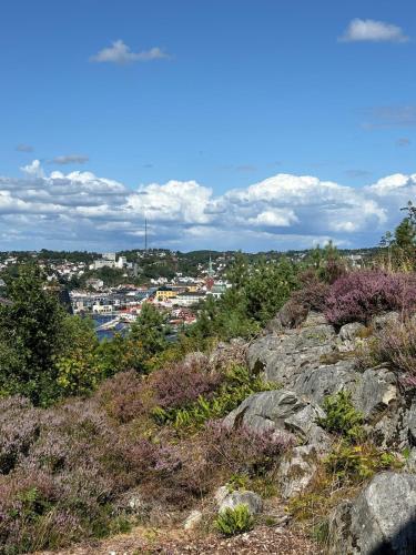 Arendalsuka - stort hus 15 min gangavstand til ferga, Arendal (fotografie 10)