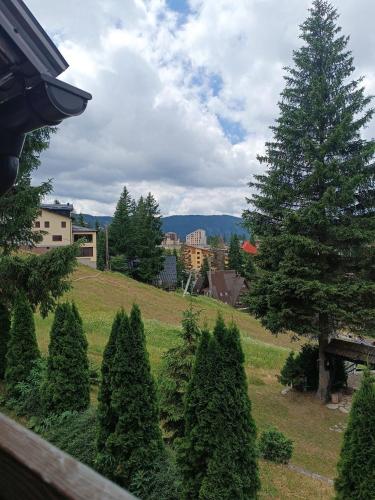 Vlasic Relax in 希沙瓦