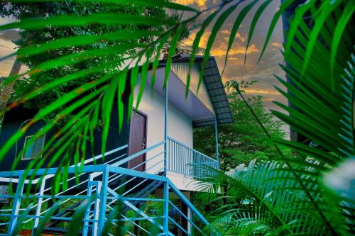 Green Aura By BOB in Muthanga