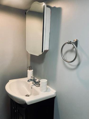 kopalnica, Chicago-Pilsen Boho apartment with Free parking - Unit C in Lower West Side