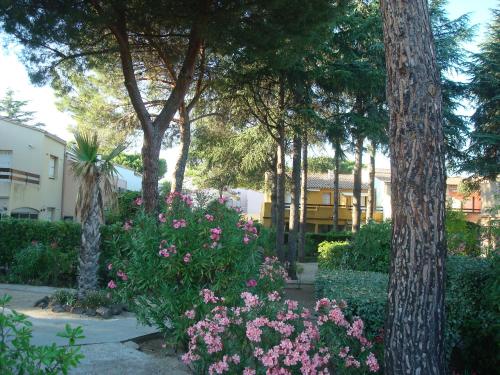 Cap Soleil, Cap d'Agde (foto 5)