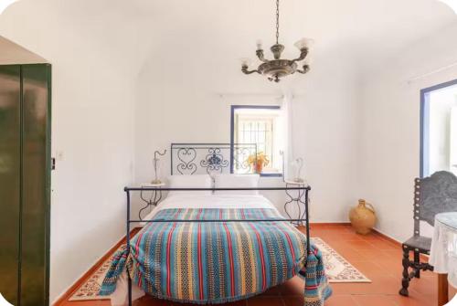 Qta Casa Seleiras - Guest House in Canaviais