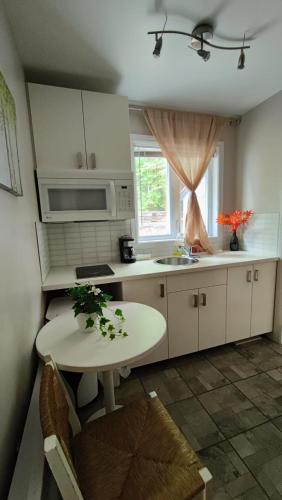 雷迪森瓦爾大衛汽車旅館 (Motel Le Radisson de Val-David) in 瓦爾達維德