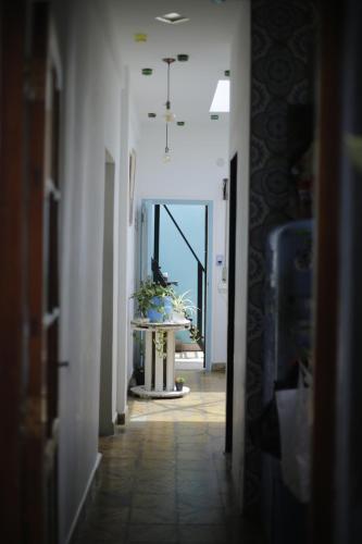 Carrusel Art-Hostel in Barrio Zacagnini