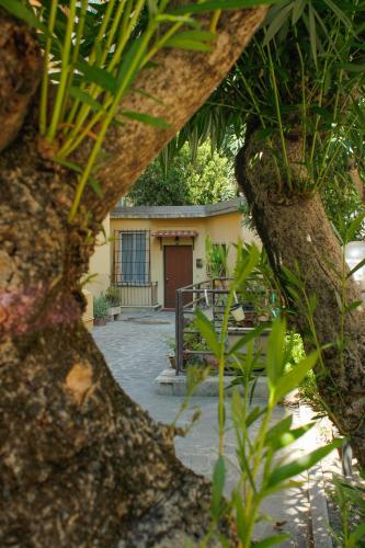 Alfieri home holiday, Рим (фото 2)