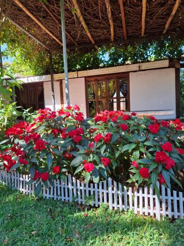 cabañas de Apaneca (cabanas de Apaneca) in Apaneca