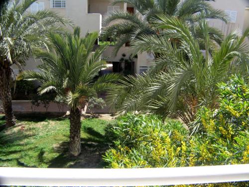 Apartamento VenAVera Playa Mimosas 11 La Aldea de Puerto Rey Piscina y Jardines Muy Tranquilo WIFI