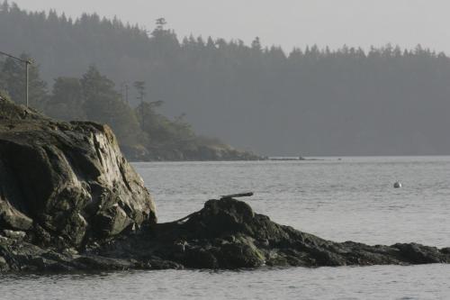 La Conner Camping Resort Beach Cabin 1 in La Conner (WA)