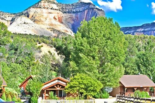 Arrowhead Country Cabins - 숙소 외관