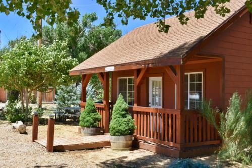 Arrowhead Country Cabins - 숙소 외관