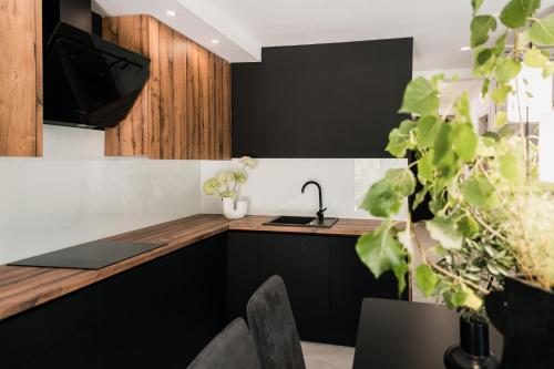 Apartman Sem in Subicevac