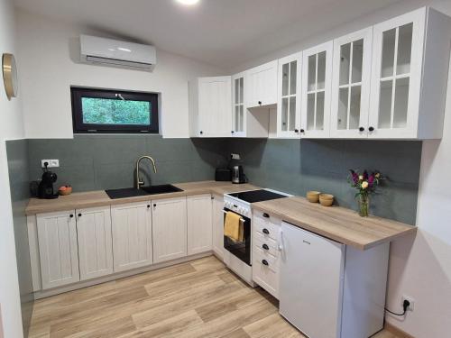 Konyha, JUNÁK MINI ubytování v soukromí (JUNAK MINI ubytovani v soukromi) in Vranov Nad Dyji