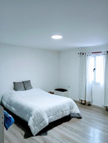 Elal kayak in Comandante Luis Piedrabuena