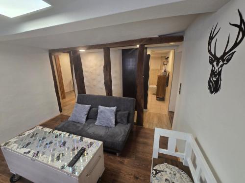 Zauberhafte Wohnung in der Nähe von Heidelberg, top Lage in Hirschhorn Neckar, Deutschland