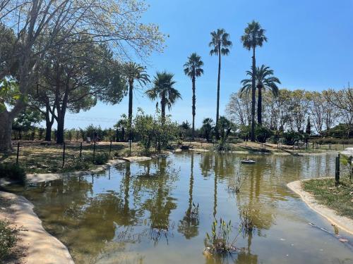 Giardino, BP Bellevue - 4eme étage vue mer (BP Bellevue - 4eme etage vue mer) in Avenue de Cannes