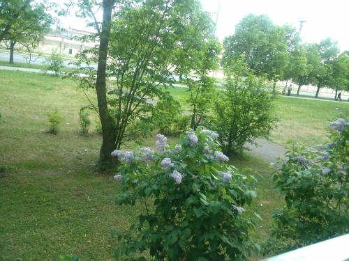 A comfortable 18m room with balcony A comfortable 18m room with balcony