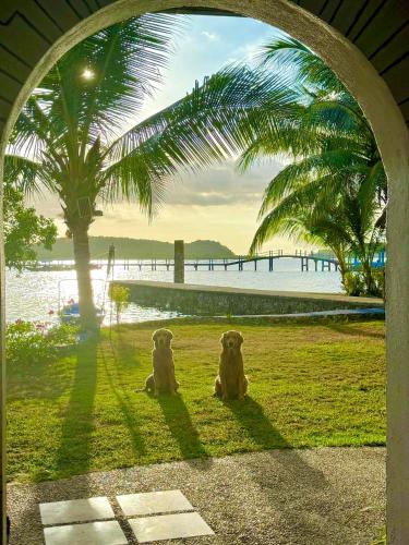 Surrounding environment, Stone Manor Inn in Busuanga