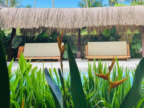 Terra Siargao
