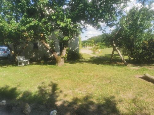 Gîte moderne à Amboise avec piscine, jardin et wifi - FR-1-381-626 (Gite moderne a Amboise avec piscine, jardin et wifi - FR-1-381-626) in Les Ormeaux