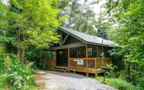 The Tree House in Gatlinburg, USA