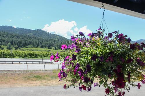 Wedge Mountain Inn
