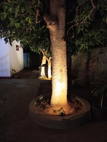 Vrt, Cha Cha Guest in Palaiyoottu