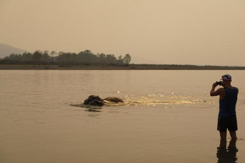 70756776 Tiger Tops Tharu Lodge