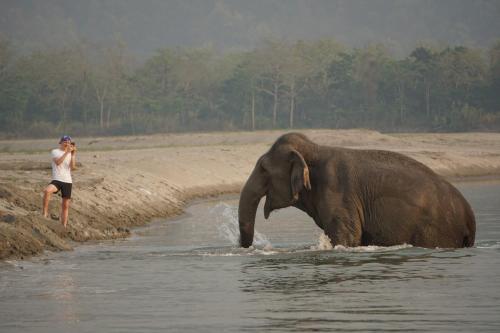 70756858 Tiger Tops Tharu Lodge
