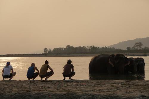 70757597 Tiger Tops Tharu Lodge